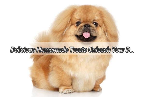 Delicious Homemade Treats Unleash Your Dogs Culinary Adventure